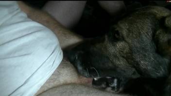 Man shares intimate jerk off solo session with the dog