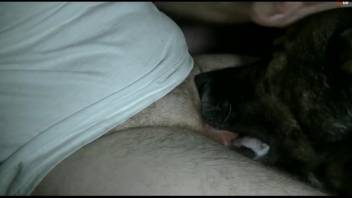Chubby guy in a tank top throat-fucking his pet dog