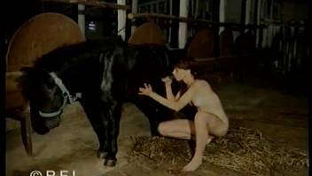 Bare novice in wild sequences of unfiltered equine explicit content