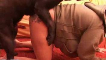 Excited older woman groans with the canine's complete dick inside her plump pussy