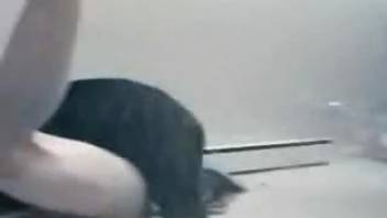 Ebony canine stretching a homemaker's snug petite vagina