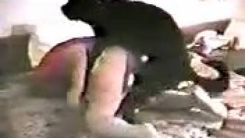 Vintage porn film featuring a dissatisfied homemaker and her canine pet