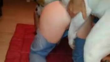 Dripping wet pussy babe being screwed by an aroused dog
