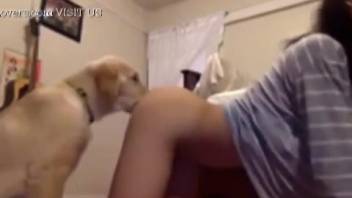 Hot booty babe stuns in her live webcam beastiality spectacle