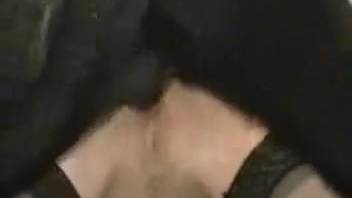 Elegant chick in stockings gets banged doggy style