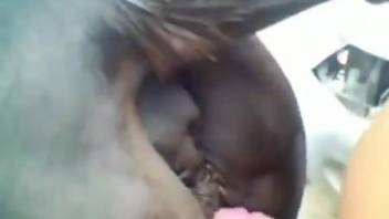 Dude with a hard cock fucking a mare's eager cunt