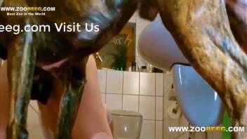 Canine penetrates novice spouse in solitary homemade webcam footage