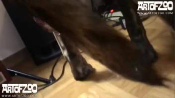Hot novice recorded in doggy style while having sex with a canine