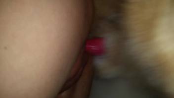 Bouncy ass babe gets pounded doggy style right here