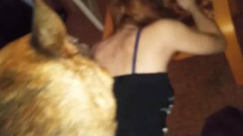 Dog licks and fucks hot woman on live cam