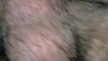 Guy pounding a brunette filly's steamy tight cunt