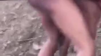 Aroused Latin dude banging a female horse's juicy pussy
