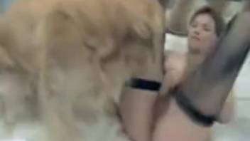 Promiscuous woman attempts bestiality on live webcam
