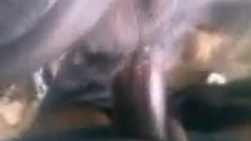 Guy employs his massive cock to profoundly screw beasts in live webcam sequences