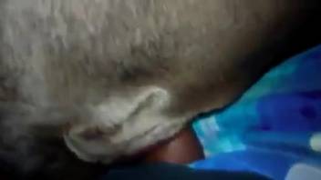 Guy's stiff cock pounding a narrow beast's opening