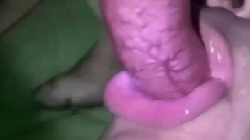 Sexy ass babe throats the dog dick and swallows a lot