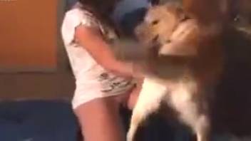 Hot brown-haired vixen being pounded by a super seductive canine