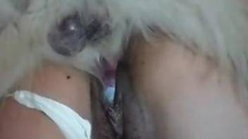 Hot woman gets her ass fucked and pussy licked by the dog