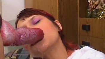 Redheaded beauty in white sucking on a dog's cock