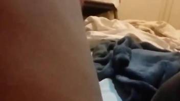 Amateur fucked by animal in the sheets and taped in secret