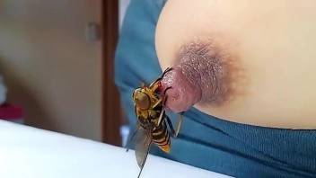 Horny woman loves the bee on her hard nipple