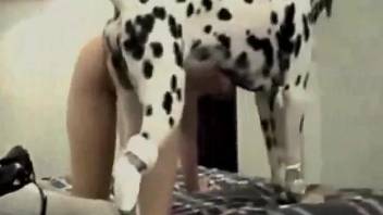 Dashing woman filmed trying sex with her Great Dane