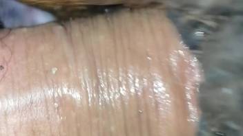 Guy submerges his cock in a dripping female horse's cunt