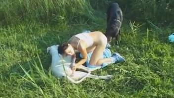 Adorable lady adores the canine cock pounding her so nicely