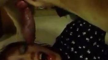 Hot woman gags with the dog's penis when being filmed