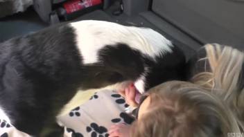 Deeply bronzed blonde babe gets fucked in a stationary car
