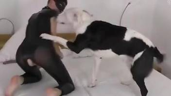 Latex-clad slavegirl fucks her master and his dog