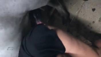 Filthy babe with dreads relishing steamy animal sex