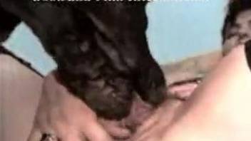 Big black dog with long dick got nicely sucked by redhead slut