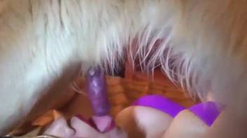 Long-legged hottie in violet underwear blows a tasty cock