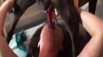 Naked older woman lounges in her dark nylons and watches canine erotica