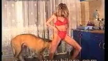 Blonde in black underwear gets screwed by that canine