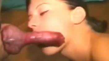 Aroused woman licked and made to gag the animal cock