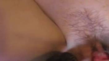 Disguised dark-haired beauty being screwed in doggy position