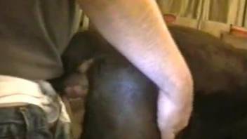 Brown dog sucking cock and getting fucked from behind