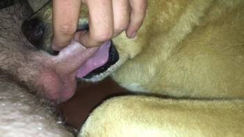 Guy chokes his bitch by thrusting his cock deep inside