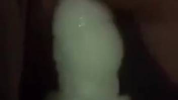 Intimate view of the nude spouse attempting bestiality in anal intercourse
