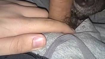 Guy masturbates while the canine tongues his testicles and shaft