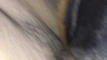 Huge cock father pounding a female dog's steamy cunt doggy style