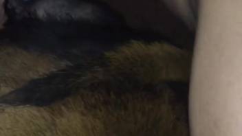 Energetic animal lover savoring intimate footage with a canine