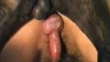 Flat-chested blonde with a hairy pussy fucks a dog