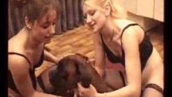 Two sex-starved MILFs turn to their sexy dog