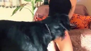 Masked hottie worships dog dick in a hot porn vid