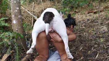 Masked babe fucks a pig and then a sexy-looking dog