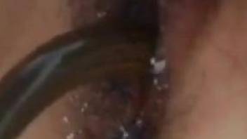 Close up masturbation video with a really sexy eel