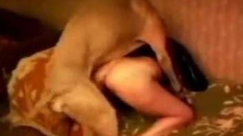 Brown doggy and redhead MILF in amazing homemade dog animality